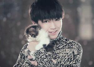 老师爆料王俊凯视频合集,揭秘偶像成长背后的故事 第2张 老师爆料王俊凯视频合集,揭秘偶像成长背后的故事 第2张